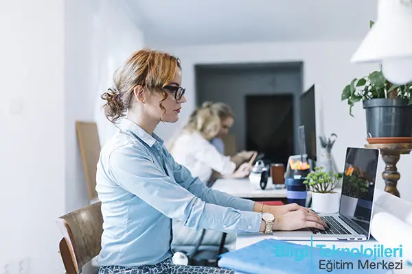 3D Max İş İmkanları