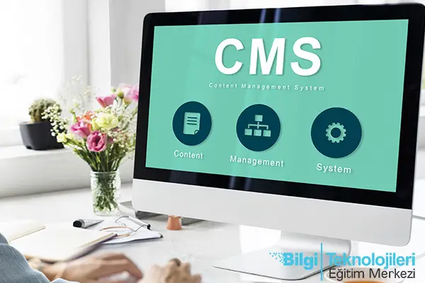 Wordpress ile Site Yapımı